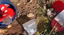 Şanlıurfa Asri Mezarlıkta bulunan ceninler soruşturmayı başlattı