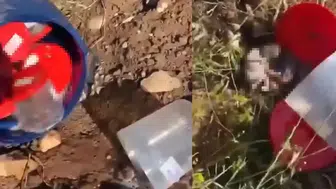 Şanlıurfa Asri Mezarlıkta bulunan ceninler soruşturmayı başlattı