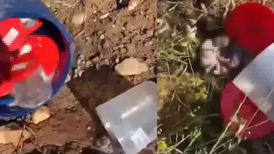 Şanlıurfa Asri Mezarlıkta bulunan ceninler soruşturmayı başlattı