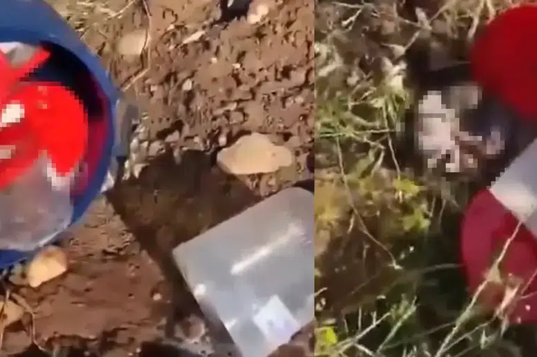 Şanlıurfa Asri Mezarlıkta bulunan ceninler soruşturmayı başlattı